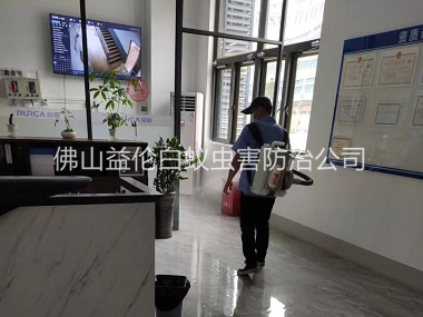 杏坛室内杀灭蚊蝇工程